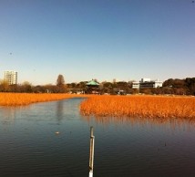 患者さんが安心できる歯科に